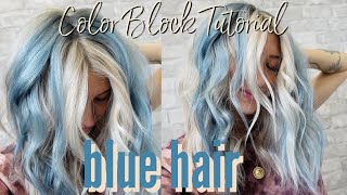 BLUE HAIRCOLOR BLOCK TUTORIAL  Wholy Hair [upl. by Dee Dee]