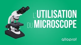 Lutilisation du microscope  Sciences  Alloprof [upl. by Rubliw]