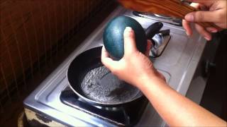 How To Cook An Emu Egg [upl. by Llerdnek305]