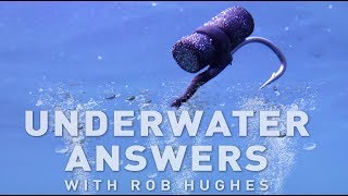 CARP FISHING TV Underwater Answers 3  Zig Rigs [upl. by Ardnuasac]