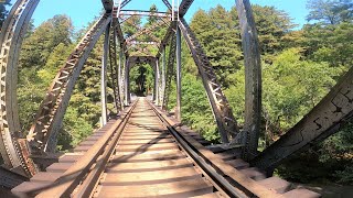 Pogonip Park  Henry Cowell State Park  Santa Cruz CA  Amazing Views  Relaxing Trail Run [upl. by Anelleh792]