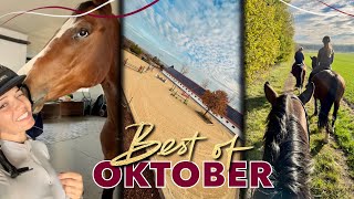 Freispringfails amp neue 🐴  BEST OF OKTOBER 2024 [upl. by Aihsiek760]