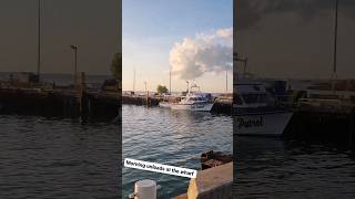 Mornings unloading Spanish Mackerel [upl. by Samella]