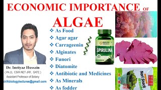 Economic Importance of Algae agaragar Diatomite as food Carrageenin Alginates [upl. by Alleul]