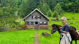 Life in a Swiss Alpine village  Heavy rain fell while cows were grazing outside the farm [upl. by Levina]