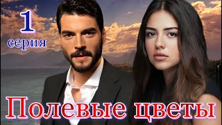 Полевые цветы 1 серия на русском языке Новый турецкий сериал с Акын Акынёзю и Аслыхан Мальбора [upl. by Iover]