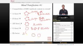 quotBloodquot  Anatomy amp Physiology with Educatorcom [upl. by Delmer13]