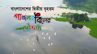 গাজনার বিল পাবনা  Gajnar Bil Pabna [upl. by Derward837]