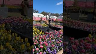 Floriade Spring Festival 2024 canberra [upl. by Hoskinson906]