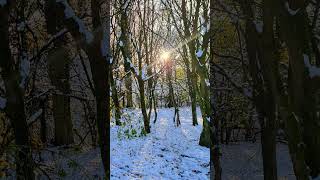 Lovely late Autumn sceney around Brierley Forest Park Nottinghamshire 201124 in the Snow [upl. by Bounds]