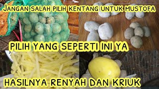 CARA MEMILIH KENTANG YANG BAGUS UNTUK PRODUKSI KENTANG MUSTOFA AGAR ENAK DAN KRIUK [upl. by Aholla]