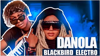 DANOLA quotBlackbirdquot Remix Electro by Hey Solo Beatz [upl. by Kemp987]