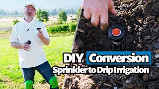 How to Convert an Inground Sprinkler to Drip Irrigation Beginners DIY Guide [upl. by Accebber158]