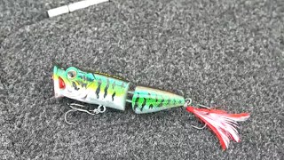 Fishing A Jointed Popper For Topwater Bites [upl. by Aieki]