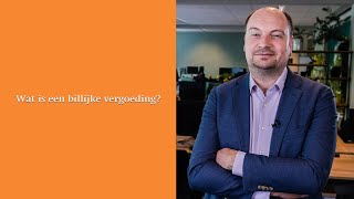 Wat is een billijke vergoeding [upl. by Ahtael462]