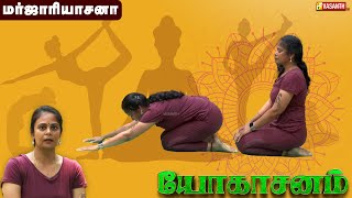 மர்ஜாரியாசனா  Marjariasana🧘 Dhinam Oru Yoga  Vasanth TV [upl. by Chick]