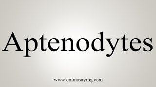 How To Say Aptenodytes [upl. by Eelrac]