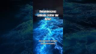 Biolumineszenz  die Lichter der Natur 💡bioluminiscencia nature wissenswert goodtoknow [upl. by Eirena]