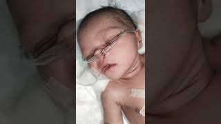 New born baby after birth NICU admit 😭😭😭 youtubeshorts trending shorts viralvideo subscribe [upl. by Opportina416]