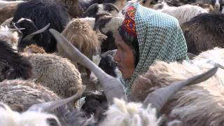 Shimshal Valley [upl. by Ymeon]