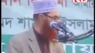 Heavy Weight Speech By Allama Deloar Hossain Saidi [upl. by Aloysia]