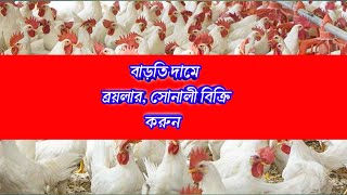 ৭ এপ্রিল🐓 আজকে সকল মুরগি বাড়তি দামে বিক্রি করুন ❤️ব্রয়লার লেয়ার সোনালী ফাউমি মুরগির বাচ্চার দাম জানো [upl. by Ailhat451]