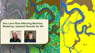 Sea Level Rise Affecting Marshes Modeling Updated Results for NH [upl. by Agler466]