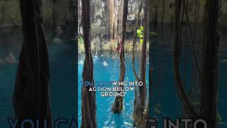 3 Amazing Cenotes In Mexico shorts [upl. by Yager]