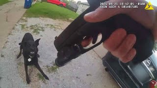 Police Bodycam Footage Shows Cop Shooting Family Dog [upl. by Braswell]