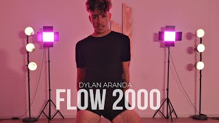 Bad Gyal  Flow 2000  Dylan Aranda Choreography [upl. by Navanod]