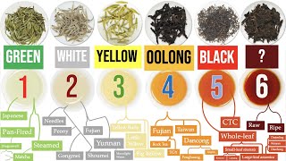 Discover the 6 Tea Types and a WORLD of Awesome Tea SubTypes  Masterclass on Tea Ch 1 of 8 [upl. by Reffinnej]