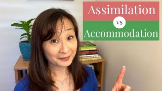 Assimilation vs Accommodation [upl. by Assetal508]