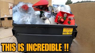 THIS INCREDIBLE DUMPSTER DIVING FINDS THAT WILL SHOCK YOU MUST WATCH [upl. by Etteroma]