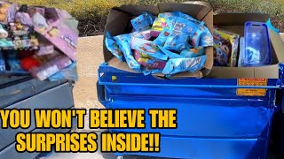 EPIC DUMPSTER DIVE YOU WONT BELIEVE THE SURPRISES INSIDE [upl. by Aivatal894]