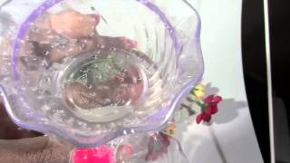 How to Get Rid of Fruit Flies amp Gnats Using Vinegar [upl. by Catarina]