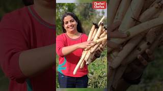 Kamal Kakdi ka fresh harvest  Maine banayi kashmiri style dish  Kya aapko is jagah ka pata tha [upl. by Sivolc91]