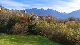 Torres sunny foliage Alpago I Veneto Italy 051124 sunny alpago foliage autumn colour [upl. by Narton958]