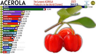 The Largest ACEROLA Producers in the World [upl. by Odlavu]