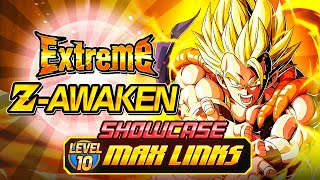 BEST UNIT IN THE GAME GOATED EZA LR TEQ SUPER GOGETA RAINBOW MAX LINKS SHOWCASE Dokkan Battle [upl. by Hebrew564]