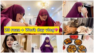 23 roza  Work day vlog💖 [upl. by Legra]