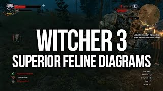 Witcher 3  ALL Superior Feline Diagram Locations Upgrade Armour and Weapons [upl. by Ilecara]