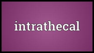 Intrathecal Meaning [upl. by Ntisuj]