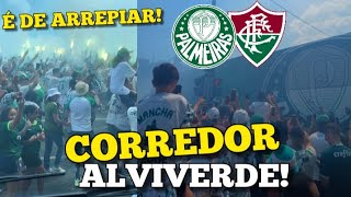 CORREDOR ALVIVERDE  PALMEIRAS X FLUMINENSE VALE TÃTULO [upl. by Ecinerev]