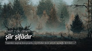 şiir şifâdır  en sevilenler 1 saat dinleti [upl. by Aigroeg]