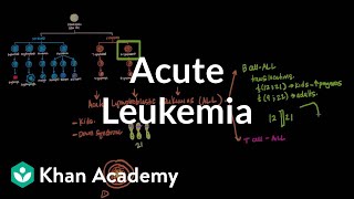 Acute leukemia  Hematologic System Diseases  NCLEXRN  Khan Academy [upl. by Rosemarie729]