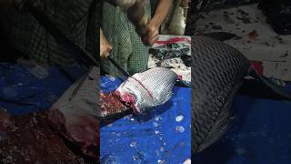 Fish cutting skills fish cutting cutting fish skills amazing fish cutting skills [upl. by Bevon21]