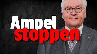 💥EILT Bundespräsident Steinmeier soll Ampel BEENDEN [upl. by Ydarb788]