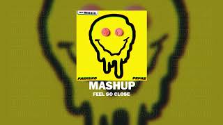 Pepas VS Feel So Close Mashup Lunna DJ [upl. by Siurtemed]