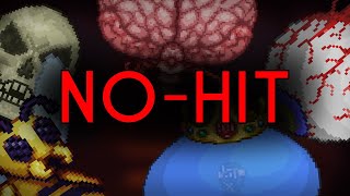 Trying to NoHit Every Terraria Boss [upl. by Felicle10]