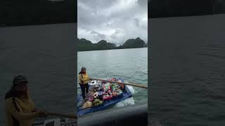 That is how to shop ha long bay Please subscribe for daily shorts [upl. by Aitnas]